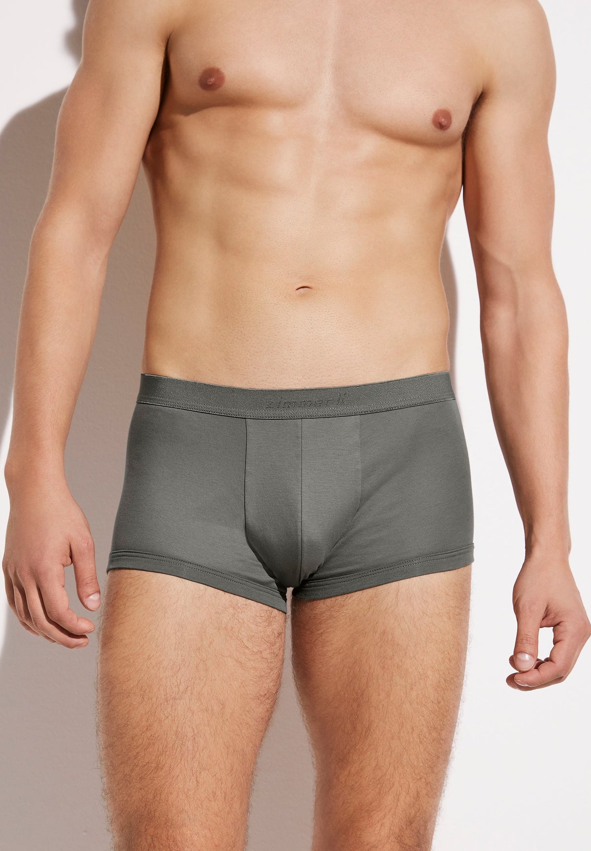 Sea Island | Boxer Brief - dark sage