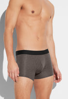 Pureness Print | Boxer Briefs / Trunk - linear geo brown