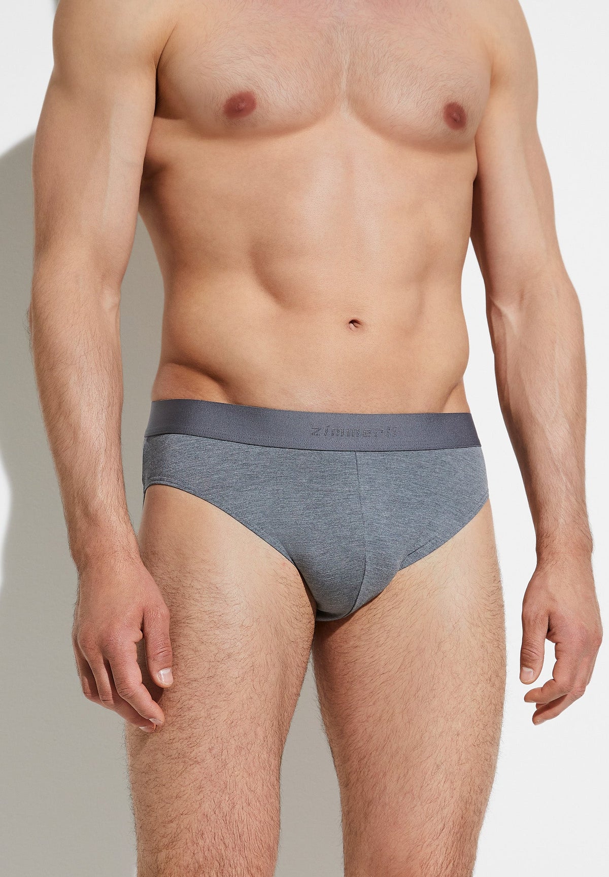 Pureness | Briefs - grey mélange