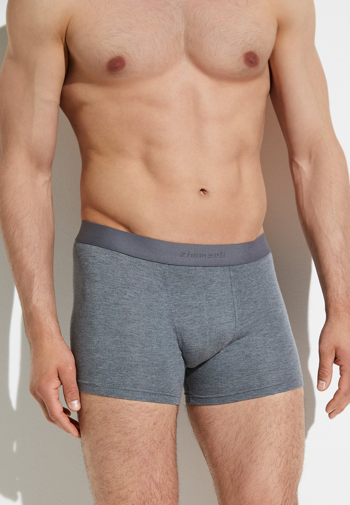 Pureness | Boxer Brief / Trunk - grau mélange