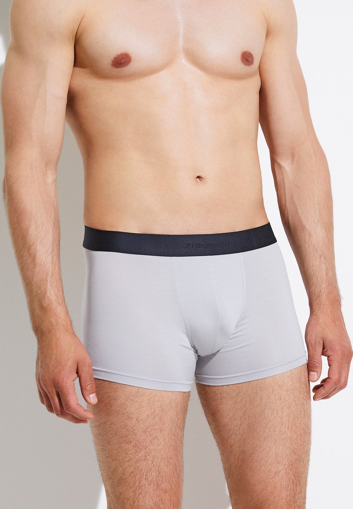 Pureness | Boxer Briefs / Trunk - cloud grey