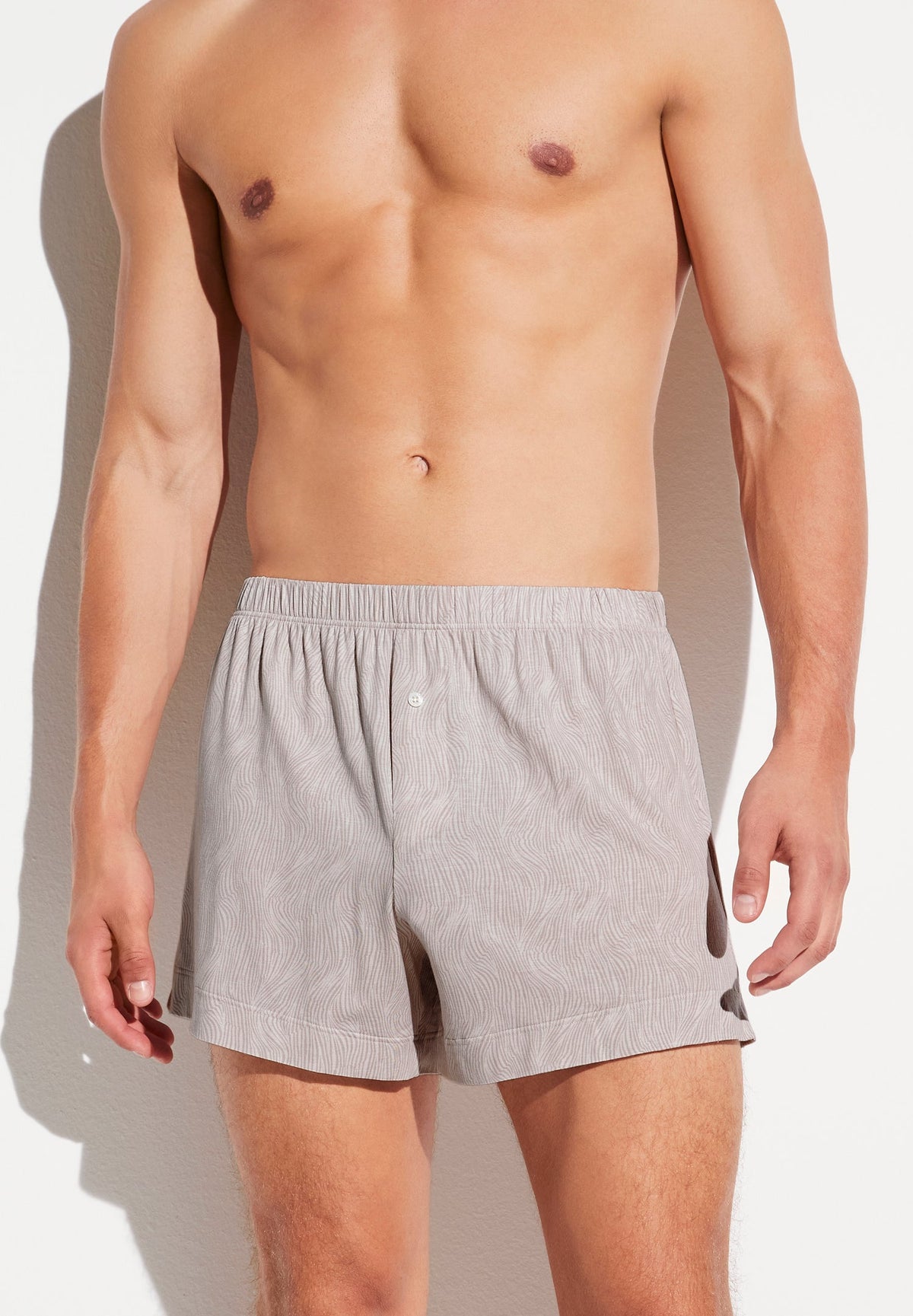 Pureness Print | Boxer Briefs - linear wave dove